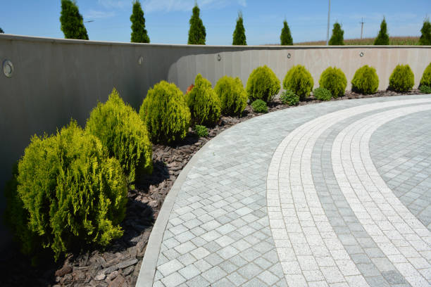 Best Commercial Driveway Pavers  in Half Moon, NC